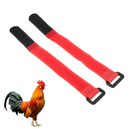 Banda para el Cuello de Pollo, No Cruel Cinturón de Nylon para el Cuello de Pollo sin Ruido Seguro Ajustable Durable para Gallos Gallo(Rojo, Potenciar)