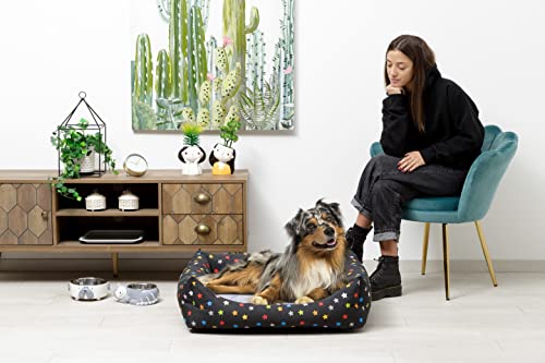 Baroni Home Cama para perros personalizable, de tela gris y estrellas, talla L, suave sofá para perros y gatos, cómoda para dormitorio, salón, pasillo, lavable 70 x 85 cm