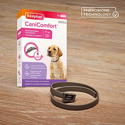 Beaphar Canicomfort - Collar calmante con feromonas para Perro, 1 Unidad de 45 cm