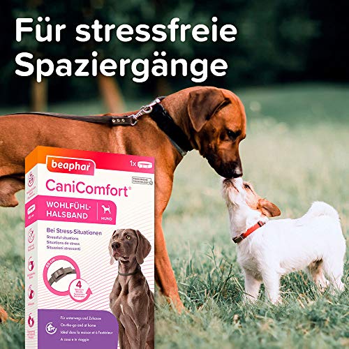 Beaphar CaniComfort Collar cómodo para Perros con feromonas para situaciones de estrés