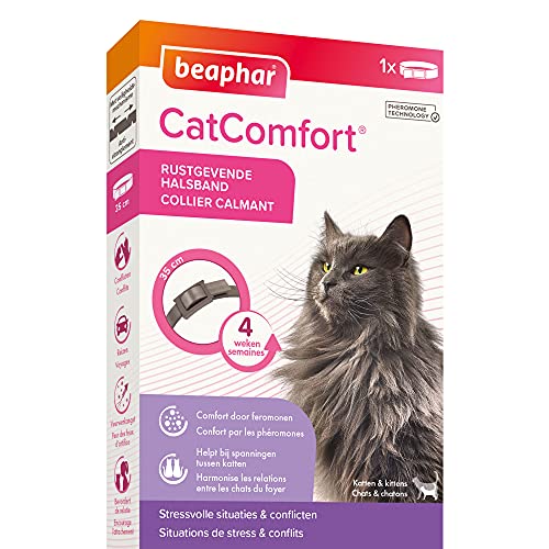 Beaphar – Collar calmante de feromonas para Gatos y Gatitos – Reduce el estrés y los Problemas de Comportamiento sin dependencia ni somnolencia – 1 Collar de 35 cm