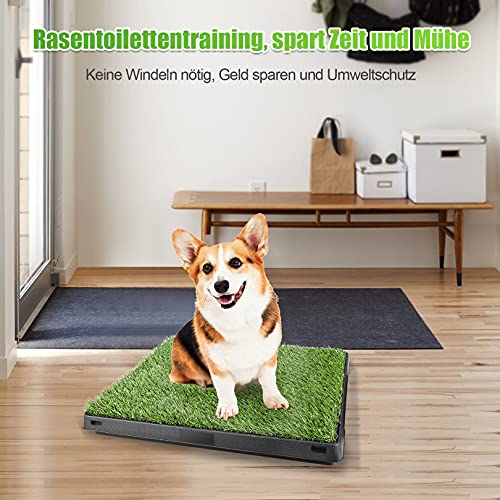 Befied Inodoro para perros con césped artificial, base de entrenamiento para interior para perros y animales, 63 x 50 x 7 cm (largo x ancho x alto)