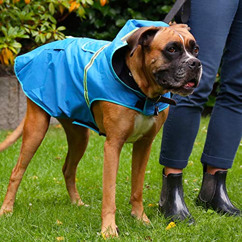 Bella & Balu Chubasquero de perro - Impermeable para mascotas con capucha y reflectores para proteger a su perro en paseos largos del frío, la lluvia o la nieve en épocas frías.(L | AZUL)