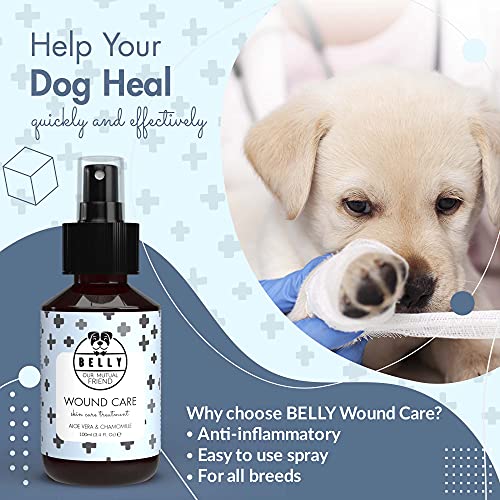 Belly Desinfectante Orgánico en Spray para el Cuidado de Las Heridas en los Perros - Cicatrizante Perros - Desinfectante para Perros - Alternativa a la Clorhexidina y los Antibióticos - 100 ml