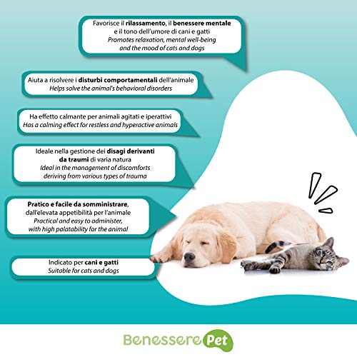 BenesserePet Kalm Calmante para Perros y Gatos 100gr en polvo, promueve la Relajación y el bienestar mental, Calmante para Perros y Gatos en momentos de Agitación e Incomodidad