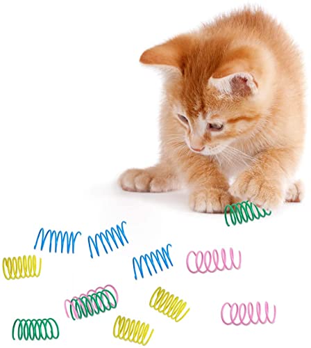 Bessy shop Juguete de Resorte para Gatos，12 Piezas Muelle Colorido Juguete para Gato Muelles en Espiral de Plástico para Mascotas para swatting, morder, Caza y Juego Saludable Activo.