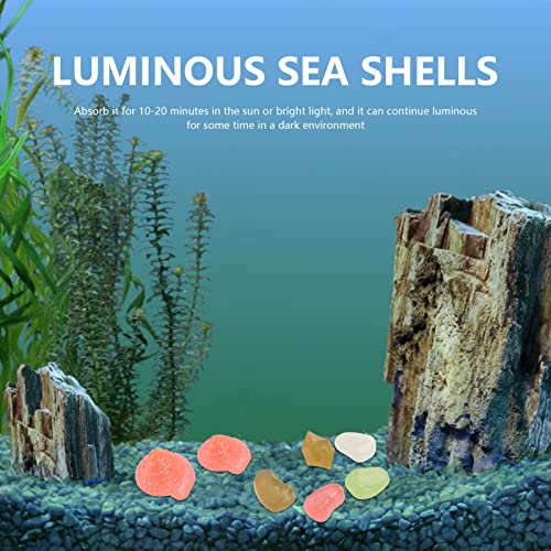 BigKing Decoración de pecera, 10 Piezas de Piedra Decorativa Luminosa de plástico Multicolor Brillante Conchas de mar Estrella de mar para pecera y Acuario