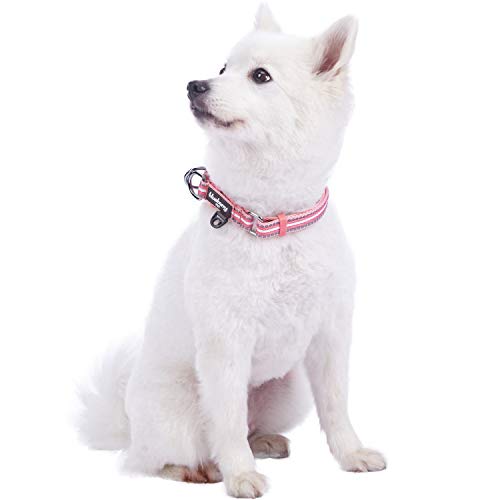 Blueberry Pet 3M Reflective Multi-Colored Stripe Pink and White Dog Collar, Small, Neck 30cm-40cm, Adjustable Collars for Dogs