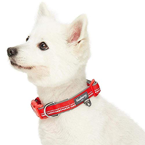 Blueberry Pet Collar de perro acolchado de color pastel suave y cómodo, 3 m, color rojo, mediano, cuello 37 cm - 50 cm, collares ajustables para perros