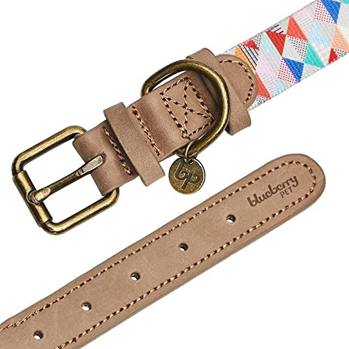 Blueberry Pet Shades of Rainbow Multicolor Triangles Polyester Fabric Webbing and Soft Genuine Leather Dog Collar, Medium, Neck 38cm-46cm, Adjustable Collars for Dogs