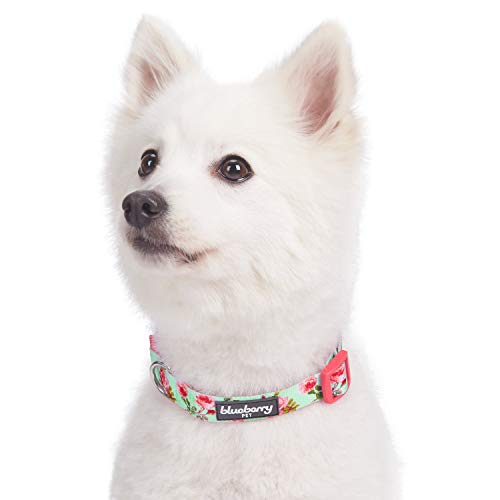 Blueberry Pet Spring Scent Inspired Floral Rose Print Turquoise Dog Collar, Large, Neck 45cm-66cm, Adjustable Collars for Dogs