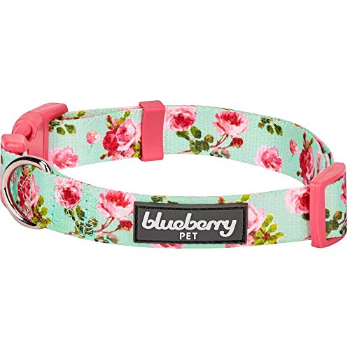 Blueberry Pet Spring Scent Inspired Floral Rose Print Turquoise Dog Collar, Large, Neck 45cm-66cm, Adjustable Collars for Dogs