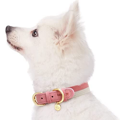 Blueberry Pet Vintage Chic Two Tone Genuine Leather Dog Collar in Pink and Grey, Medium, Neck 38cm-46cm, Adjustable Collars for Dogs