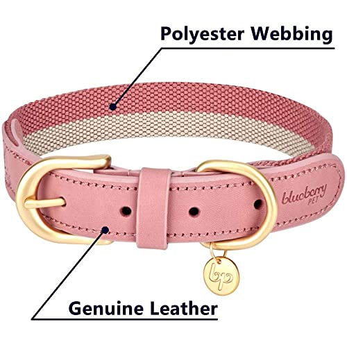 Blueberry Pet Vintage Chic Two Tone Genuine Leather Dog Collar in Pink and Grey, Medium, Neck 38cm-46cm, Adjustable Collars for Dogs