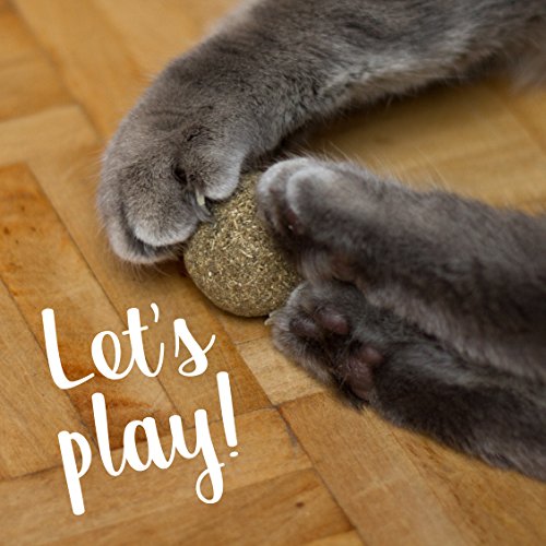 Bola de hierba gatera para jugar: 2x juguete de hierba gatera premium para gatos de menta gatuna seca – Fascinante juguete de gatos con menta gatuna – Juguete gato – Bola catnip gato PRETTY KITTY