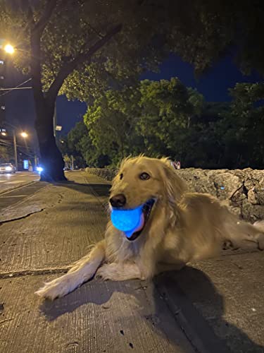 Bola de Perro LED Aligerante que Brilla en la Oscuridad Bola de Perro con Luz para Perro Bola de Perro Resistente Bolas de Perro Resistentes para Juegos Que Incluyen Atrapar y Buscar