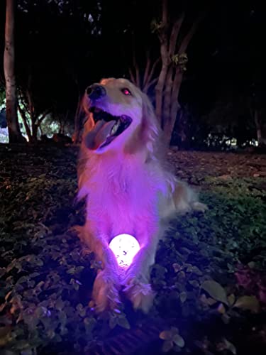 Bola de Perro LED Aligerante que Brilla en la Oscuridad Bola de Perro con Luz para Perro Bola de Perro Resistente Bolas de Perro Resistentes para Juegos Que Incluyen Atrapar y Buscar