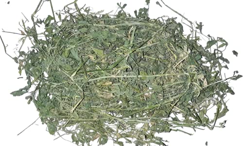 Book-A-Bale 2 kg Heno de Alfalfa de Calidad - Fresco Directamente del Agricultor en España