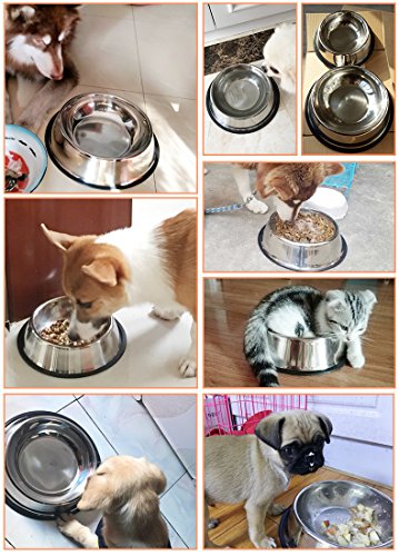 BPS® 2X Comedero Bebedero Acero Inoxidable para Perro Gato Mascotas Diámetro 3 Tamaños para Elegir 15.5/18/19 cm (18 cm) BPS-5502 * 2
