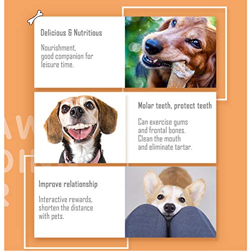 BPS - 5096 Buena Pet Shop Hueso Prensado para Perros Piel Vacuno Fortalecedor de Dientes Stick Dental Dog Snack 11.5 cm, 12 Pcs (pack de 3 unidades x 4)
