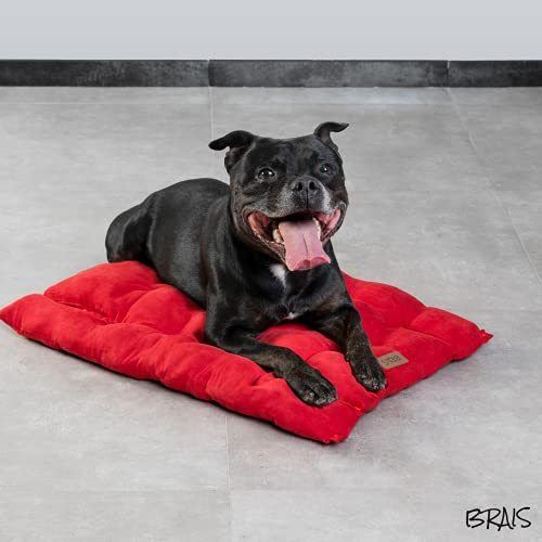 BRAIS Cama multiusos para mascotas con relleno 100 % puro algodón y 3 camas de 1 resistente en 3 colores / 3 medidas tamaño pequeño mediano y grande perro Bed