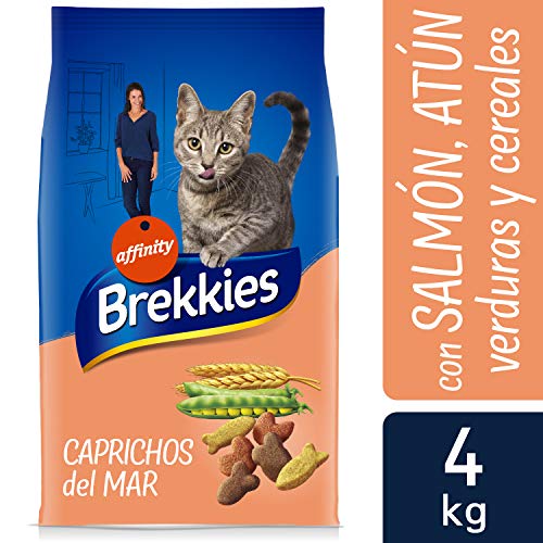 BREKKIES EXCEL alimento para gatos sabor salmón y atún bolsa 4 kg