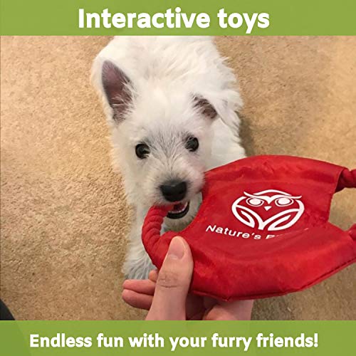 Buddy Wild Juguetes para Perros con Pelota de Perro Interactiva Incluida – Juguetes Masticables 100 % Naturales, Resistentes y Duraderos - Juguetes de Entrenamiento de Perros Cachorros y Pequeños