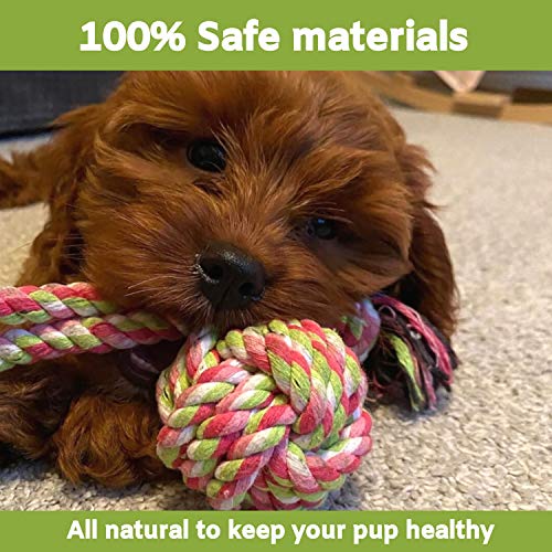 Buddy Wild Juguetes para Perros con Pelota de Perro Interactiva Incluida – Juguetes Masticables 100 % Naturales, Resistentes y Duraderos - Juguetes de Entrenamiento de Perros Cachorros y Pequeños