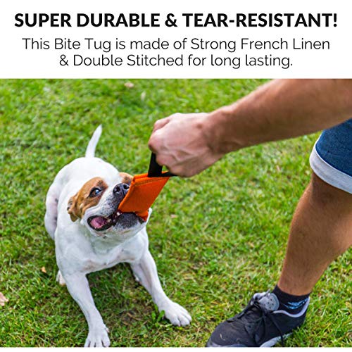 Bull Fit mordedor perro Cotton/NY, con un asa, 30 cm - K9 dummy y motivador canino resistente y duradero - juguetes para perros de entrenamiento
