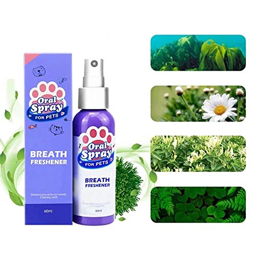 Byilx Mascotas Spray Perro Cuidado Oral Malo Aliento Limpieza de Dientes Aliento Ambientador de la Placa Removedor