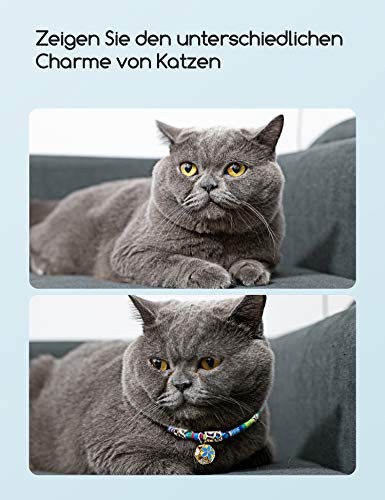 C-Tail - Collar para mascotas con cadena de extensión para bodas, cumpleaños, fotoshot (azul)