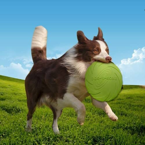 CABLEPELADO Frisbee para Perro Juguete Disco Volador para Perro 15 cm Verde