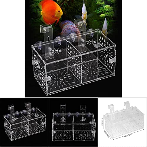 Caja de Aislamiento de Peces, incubadora de criadero de acuarios no tóxicos, para camarones pequeños para Peces pequeños(20CM*10CM*10CM)