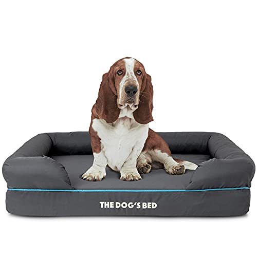 Cama de perro The Dog's Bed, cama ortopédica de espuma viscoelástica impermeable, gran gris con borde azul, terapéutica y de apoyo, funda de tela Oxford de calidad lavable