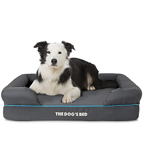 Cama de perro The Dog's Bed, cama ortopédica de espuma viscoelástica impermeable, gran gris con borde azul, terapéutica y de apoyo, funda de tela Oxford de calidad lavable