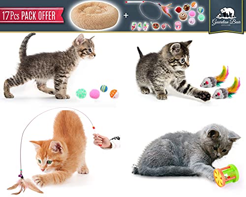 Cama Gato Antiestrés con 16 Juguetes para Gatos, Cama para Gatos Suave Redonda Tipo Donut de 50cm. y Pack de Juguetes para Gatos, Cama para Gatos de Lujo Lavable a Máquina (Cat Toys Gris)