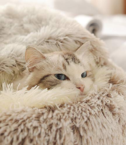 Cama para gatos, de felpa suave, con forma de cueva; casa para gatos en interiores y cojín para dormir, cálida para invierno, antideslizante, extraíble y lavable