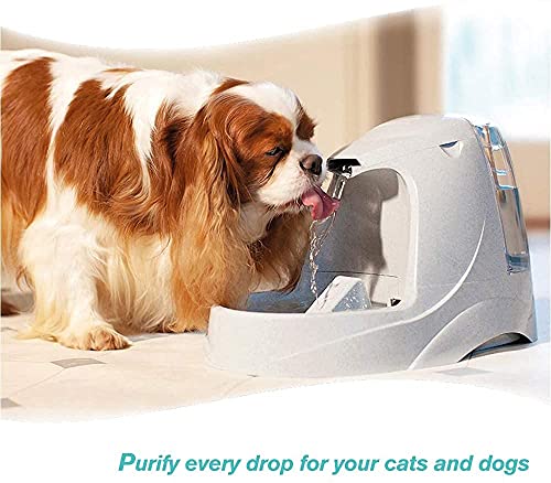 Cartuchos de Filtro Compatible con Cat Mate & Dog Mate Fuente, Filtro Purificación de Agua para Mascotas de Repuesto para Fuente para Perros y Gatos Poweka (10 Piezas)