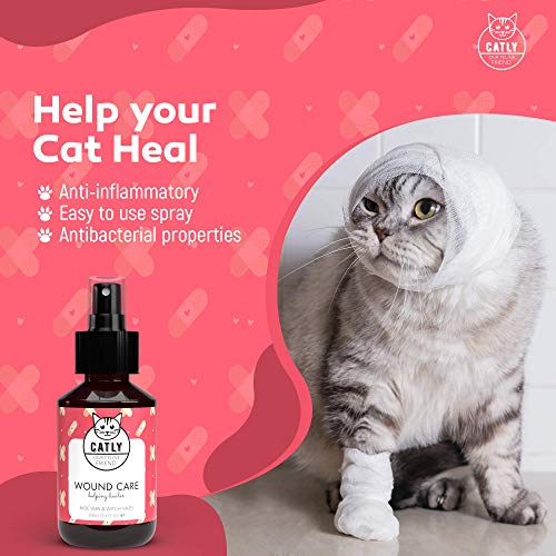 Catly Spray Desinfectante y Cicatrizante para Gatos - Spray Relajante para Gatos - Protección contra Infecciones, Irritaciones y Heridas en la Piel de los Gatos - con Aloe Vera y Árnica - 100 ml