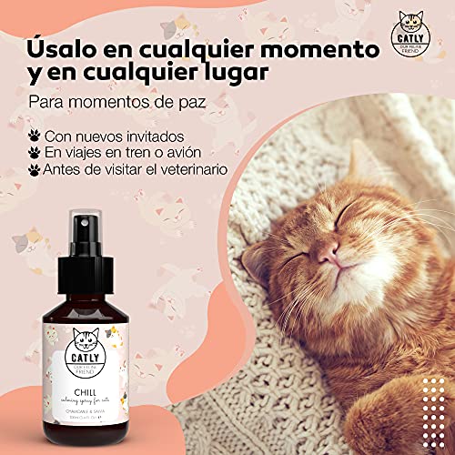 Catly Spray Tranquilizante para Gatos - Efecto Calmante y Relajante Gatos, Ideal para Viajes - Catnip Spray Antiestres Gatos - Relajante para Gatos, Alternativa Natural a Feromonas para Gatos, 100ml