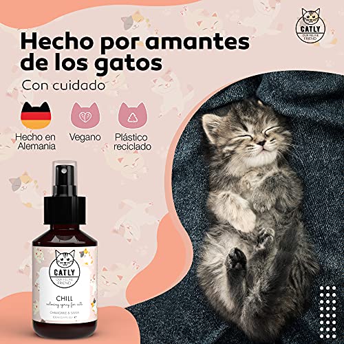Catly Spray Tranquilizante para Gatos - Efecto Calmante y Relajante Gatos, Ideal para Viajes - Catnip Spray Antiestres Gatos - Relajante para Gatos, Alternativa Natural a Feromonas para Gatos, 100ml