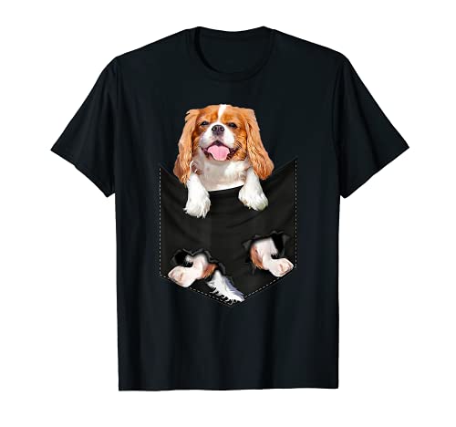 Cavalier King Charles Spaniel perro de bolsillo desgarrador Camiseta