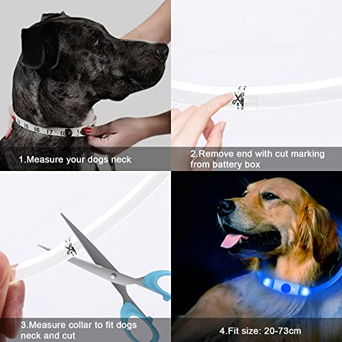 CCWW Collar luminoso LED para perros y gatos, recargable por USB, longitud ajustable, 3 modos