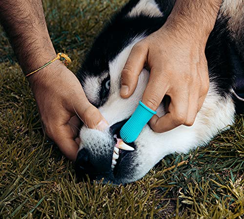 Cepillo de dientes de silicona para perros y gatos 360º (PACK 2 UDS) con diseño ergonómico para dedo - color azul