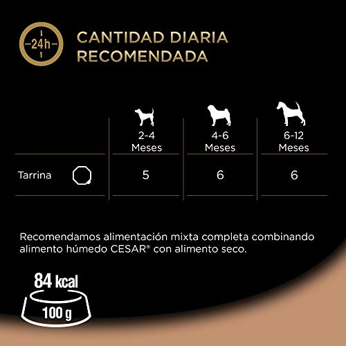 Cesar Comida Húmeda para Perros Cachorros Sabor Pavo y Ternera (Pack de 14 Tarrinas x 150g)