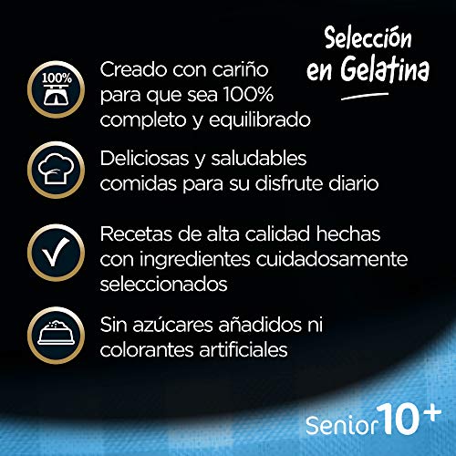 Cesar Comida Húmeda para Perros Senior Selección Carnes Mixtas en Gelatina, Multipack (Pack de 13 x 4 bolsitas x 100g)