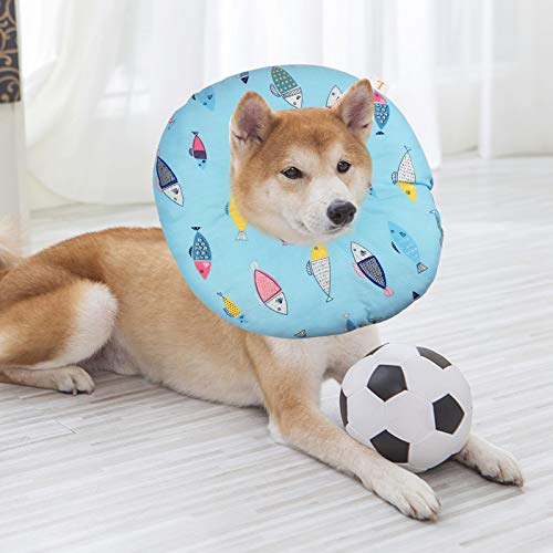 Changrongsheng Collar Isabelino Gato Collar de Recuperación para Mascotas Collar Protector para Gato Collares Cono de Suave Ajustable para Gatito Cachorro Conejo Después de la Cirugía, S, 2-5 kg
