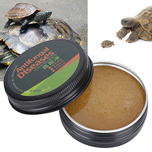 Chanmee Crema para el Cuidado de Tortugas, Crema para Tortugas, Práctica Segura para el Medio Ambiente Saludable para Tortugas Mascotas(Fungus Net)