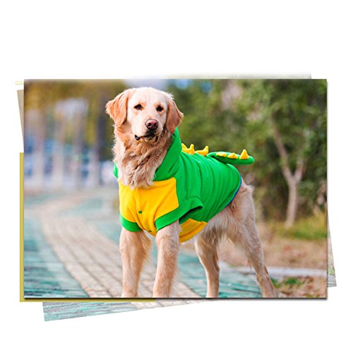 Chaqueta divertida para disfraz de dinosaurio de perro grande y grande, abrigo de forro polar cálido invierno Golden Retriever Pitbull para perro con capucha (5XL, verde)