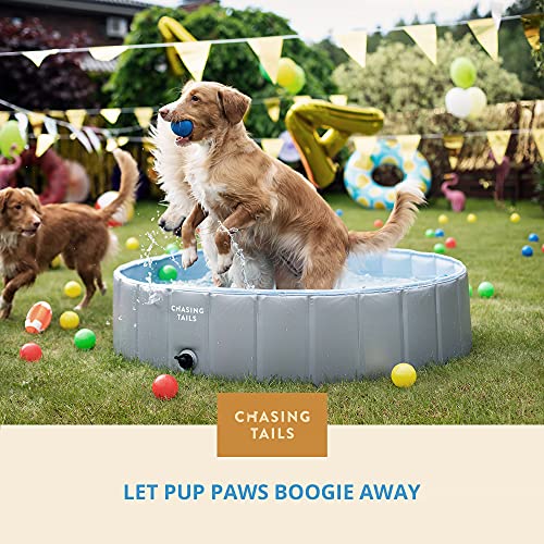 Chasing Tails Piscina de plástico para mascotas de 47 pulgadas, plegable de 11.5 pulgadas, piscina para mascotas de profundidad para nadar – Piscina plegable para perros grandes y pequeños